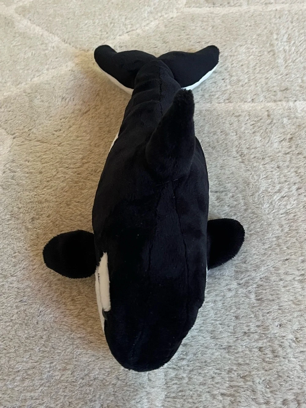 Douglas Spout Orca Whale